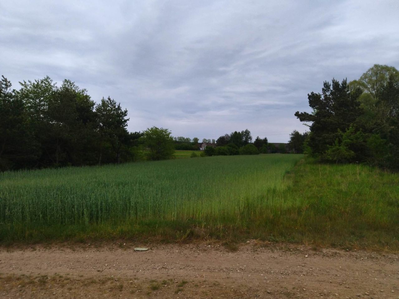 Działka budowlana Świerczyna. Zdjęcie 6