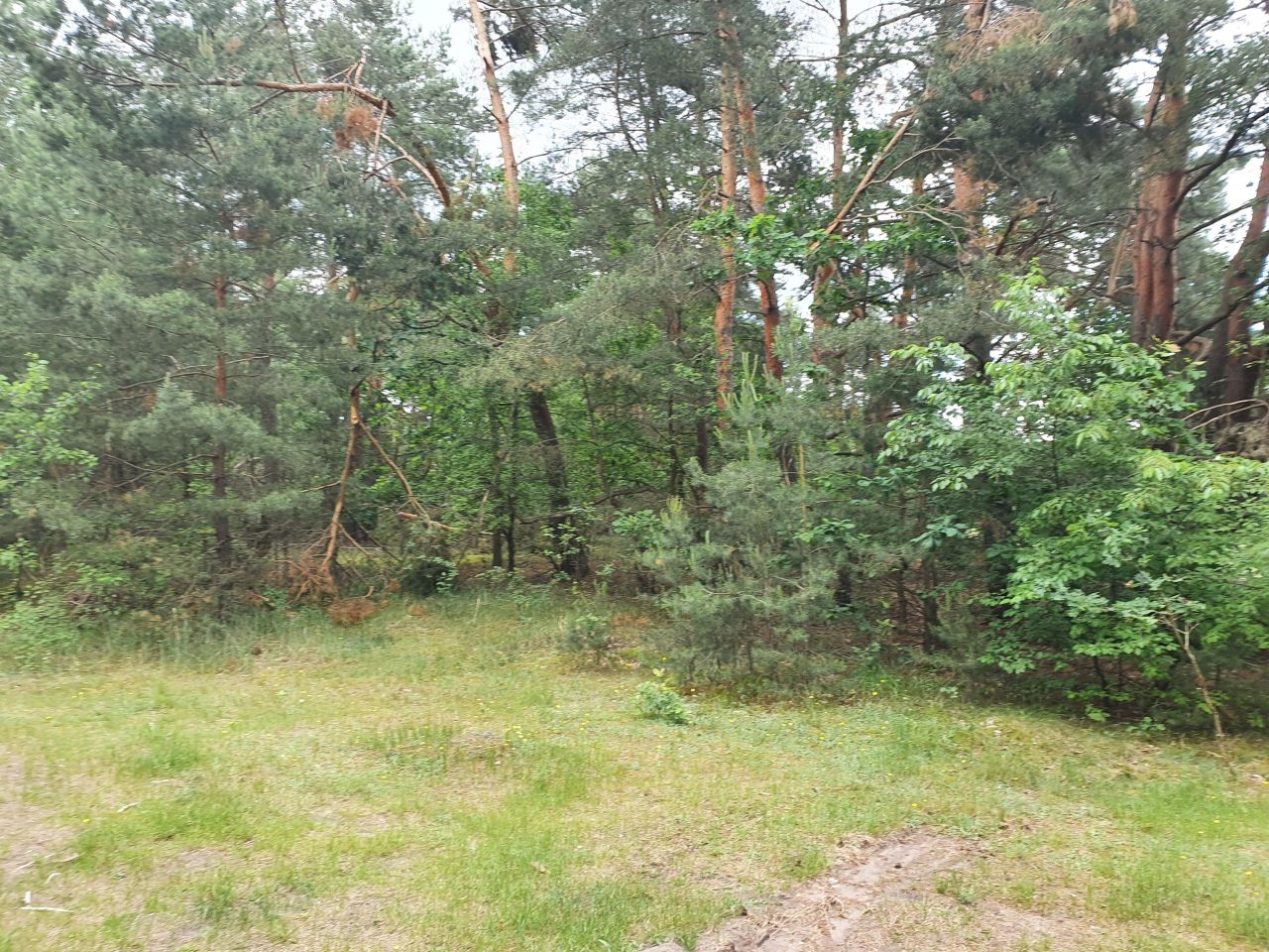 Działka inna Boska Wola. Zdjęcie 3