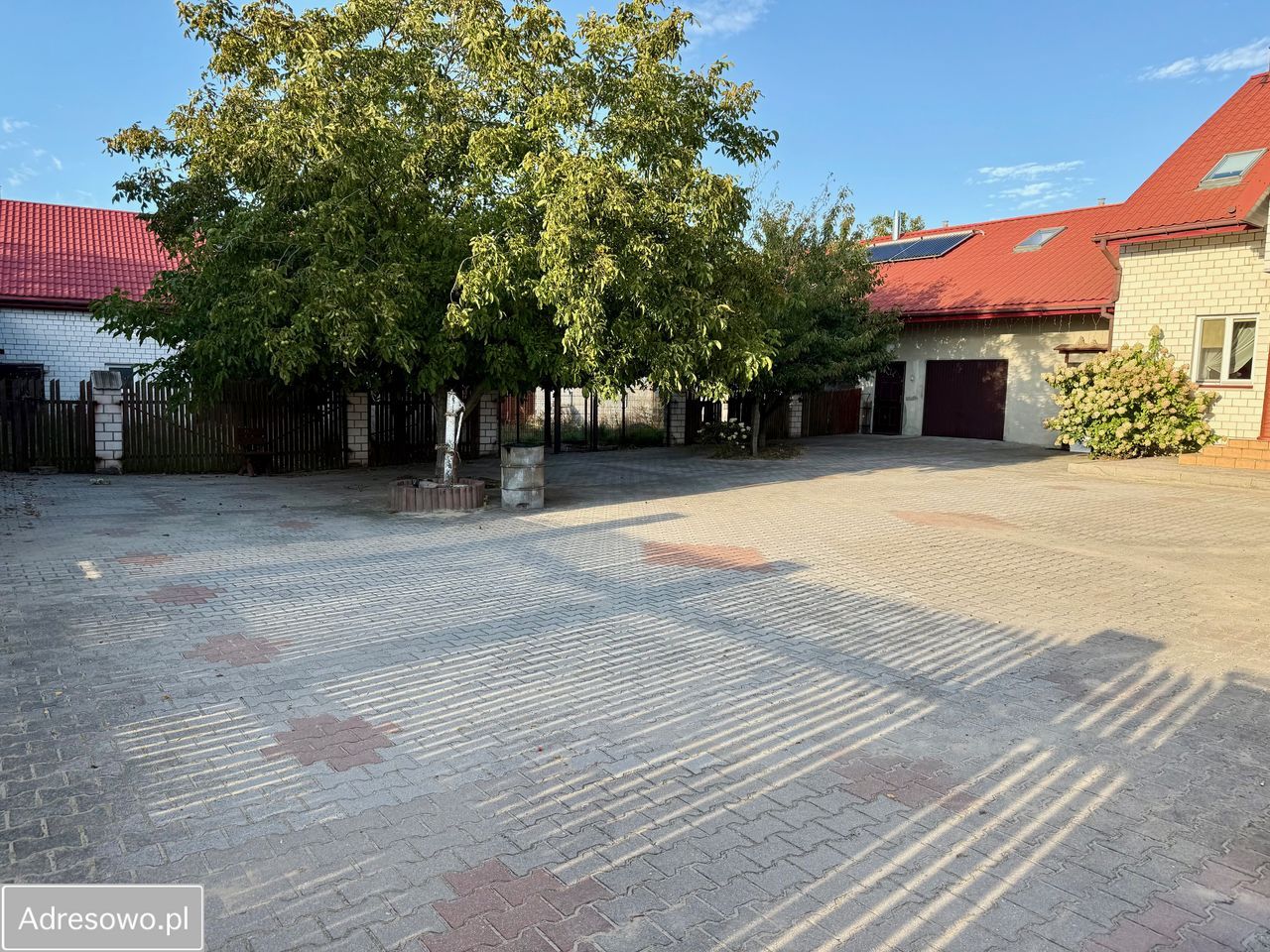 gospodarstwo Chojny. Zdjęcie 17