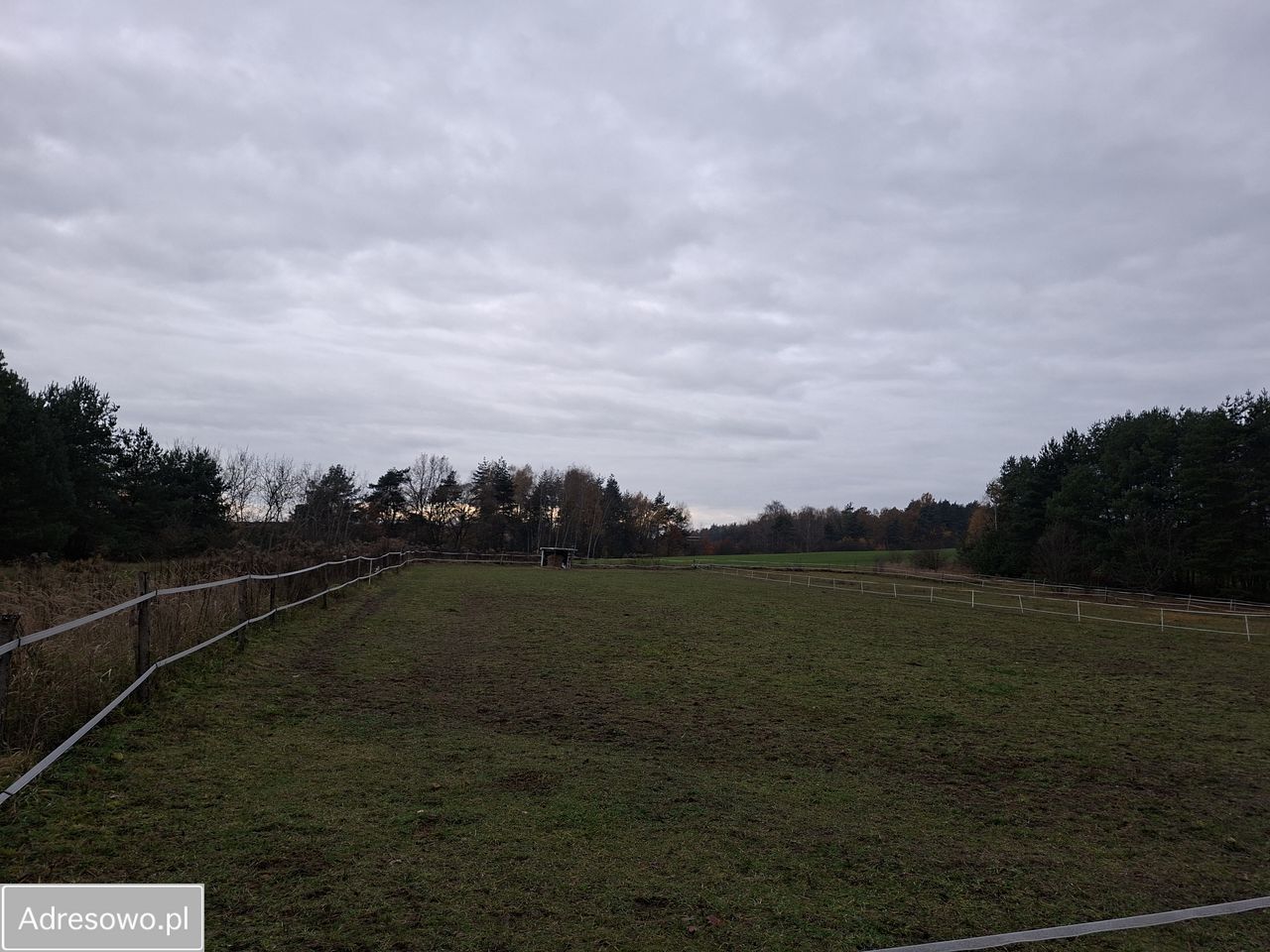 Działka rekreacyjna Mysłowice Dziećkowice, ul. Jana Długosza. Zdjęcie 3