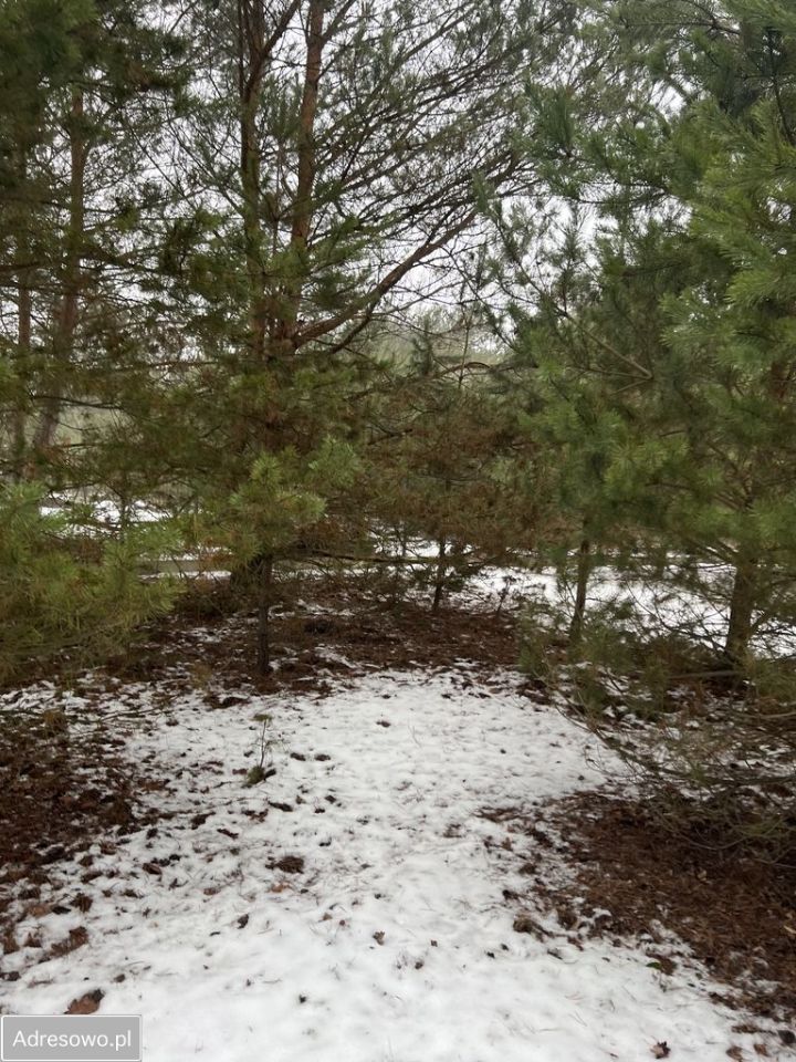 Działka rolno-budowlana Andrzejów. Zdjęcie 5