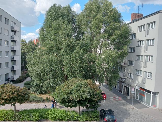 Mieszkanie 3-pokojowe Wrocław Stare Miasto, ul. Kotlarska. Zdjęcie 24
