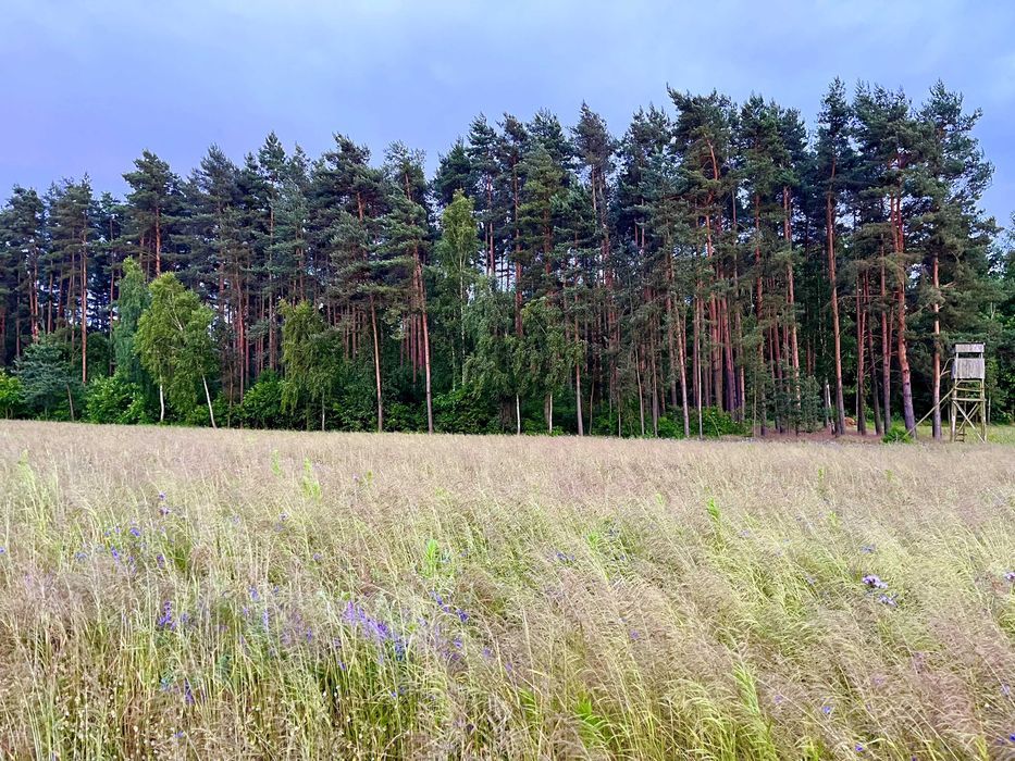 Działka budowlana Mikorzyce. Zdjęcie 6