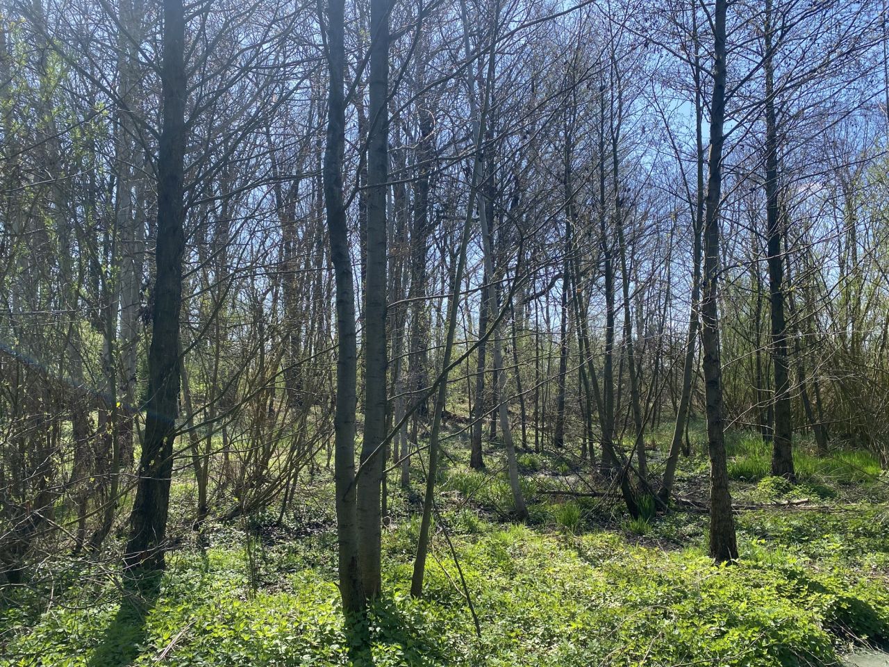 dom wolnostojący, 5 pokoi Sadów Kopce, ul. Powstańców Śląskich. Zdjęcie 60