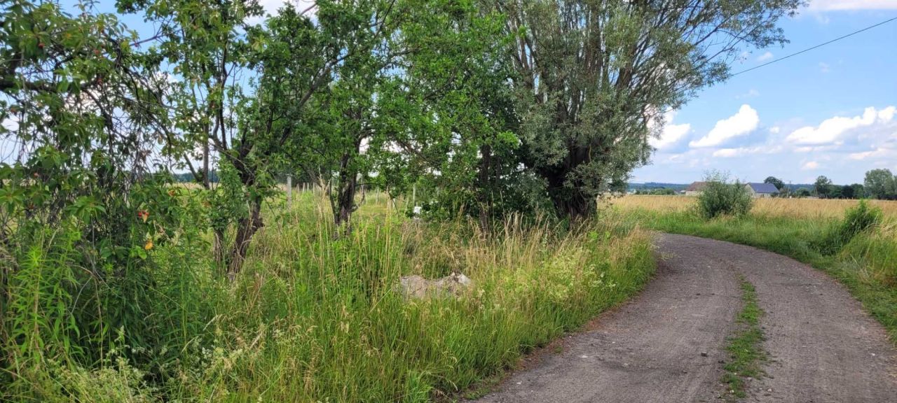 Działka budowlana Białczyk. Zdjęcie 7