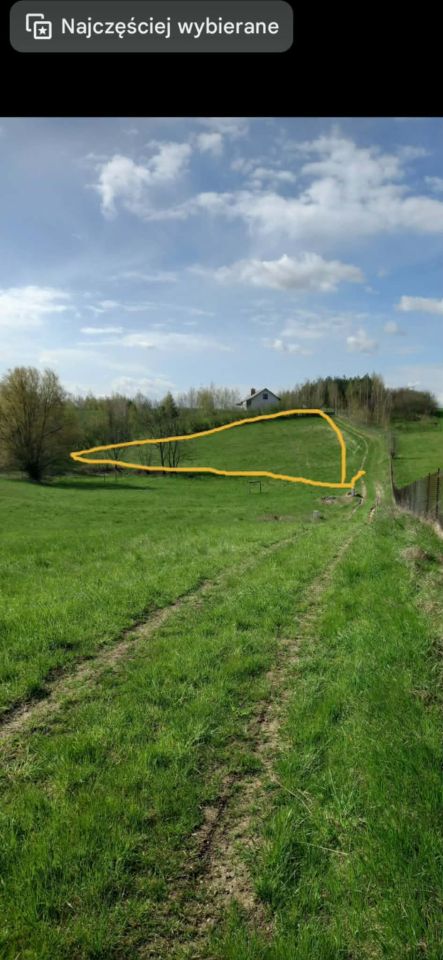 Działka rolna Brzezie. Zdjęcie 3