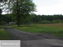 Działka budowlana Prościeniec. Zdjęcie 1