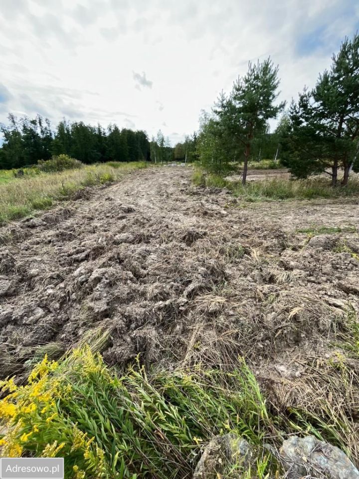 Działka rekreacyjna Słupice. Zdjęcie 3
