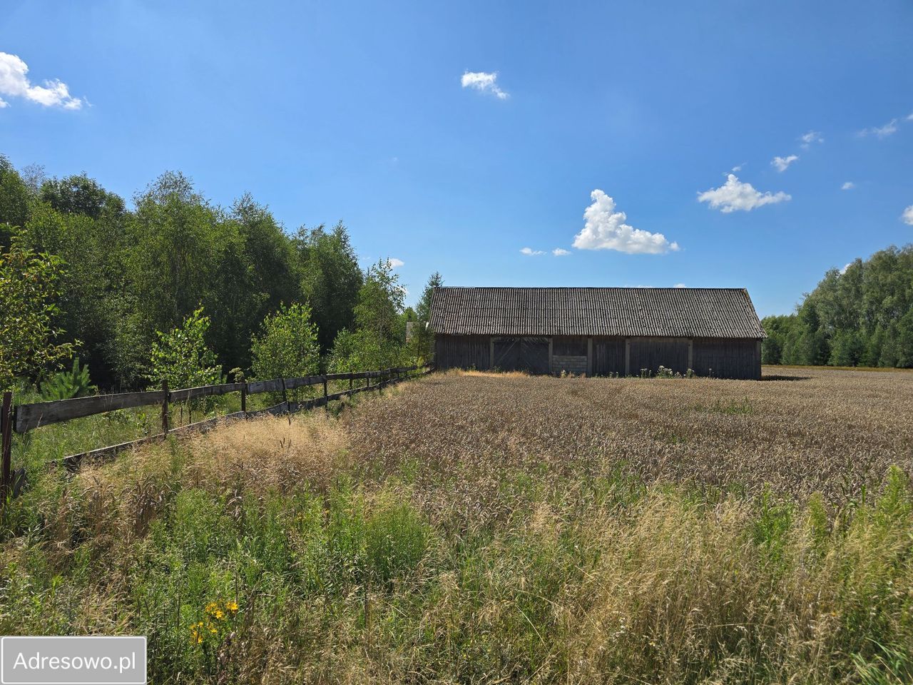 siedlisko, 3 pokoje Kuraszewo. Zdjęcie 14