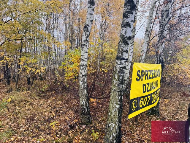 Działka budowlana Słowak. Zdjęcie 4