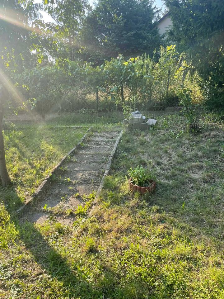 Działka rod Zielona Góra, ul. Andrzeja Struga. Zdjęcie 2