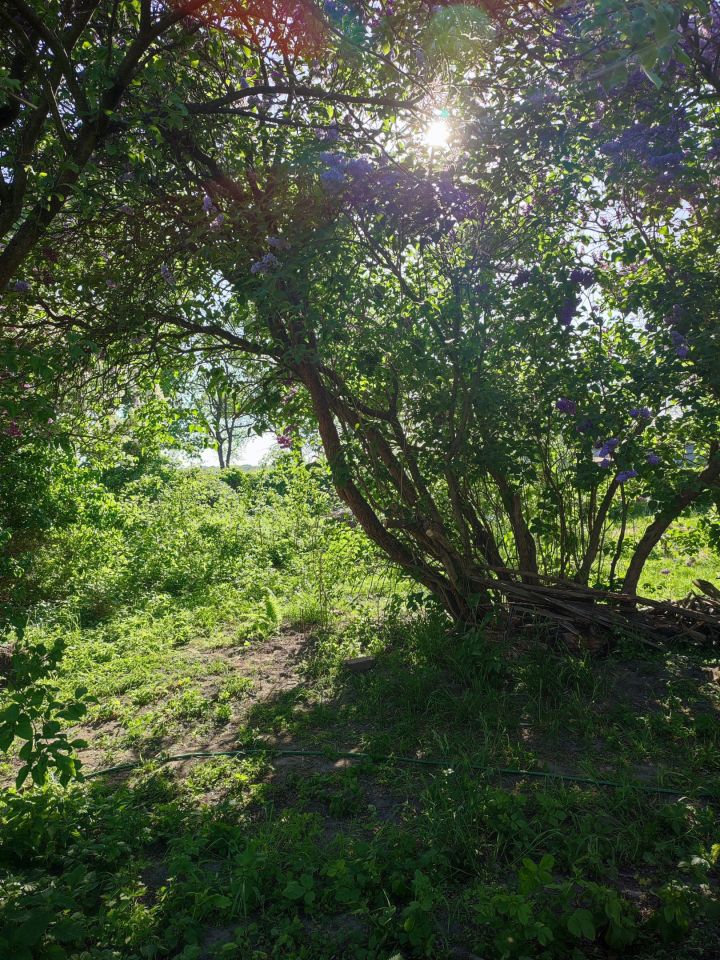 Działka rolno-budowlana Biedrzychów. Zdjęcie 3