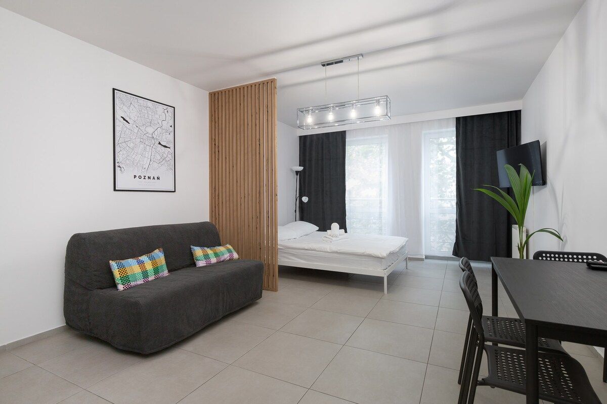 Mieszkanie 1-pokojowe Poznań Stare Miasto, ul. Piekary. Zdjęcie 15