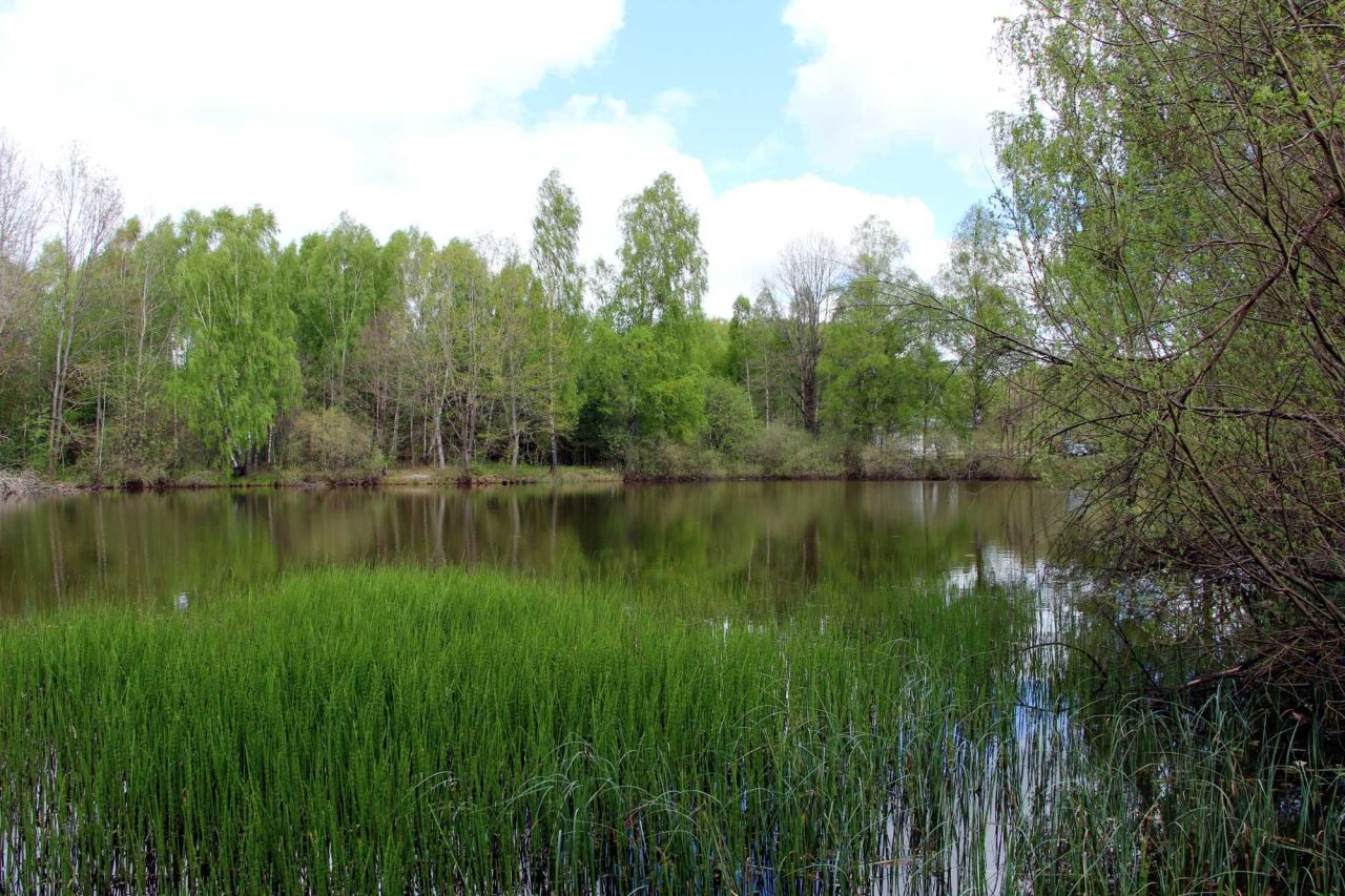Działka budowlana Brzeziniec. Zdjęcie 4