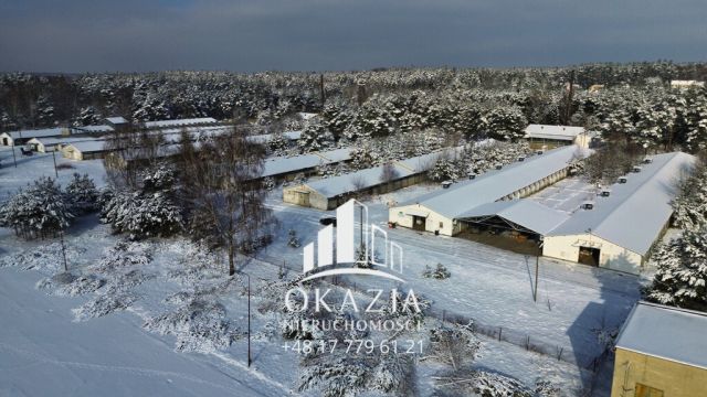 Działka inwestycyjna Wysoka Głogowska. Zdjęcie 11