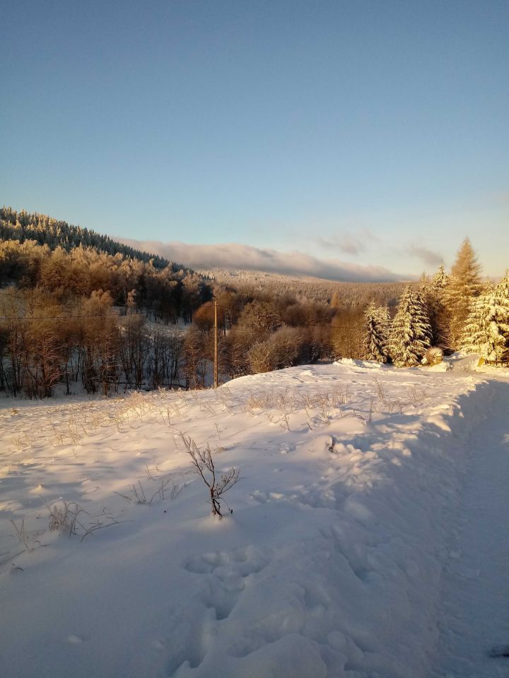 Działka siedliskowa Poniatów. Zdjęcie 4