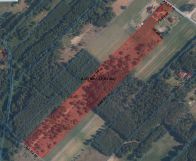 Działka rolno-budowlana Kolonia Ujazd. Zdjęcie 2