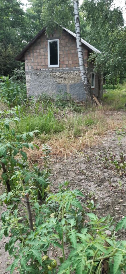 Działka rolna Panaszew. Zdjęcie 6