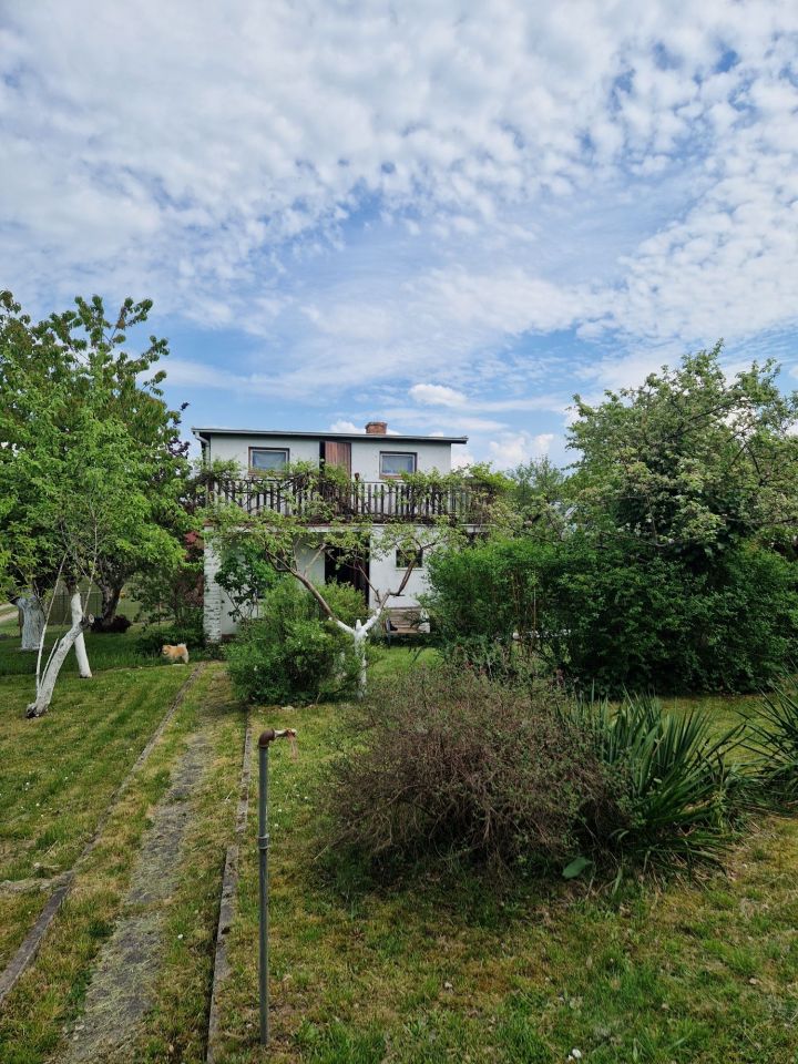 Działka rod Szczecin Bukowe