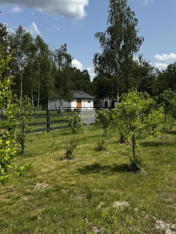 dom wolnostojący, 8 pokoi Koryciska. Zdjęcie 10