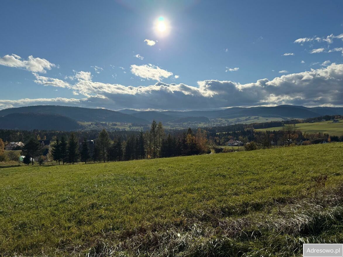 Działka budowlana Wawrzka. Zdjęcie 2