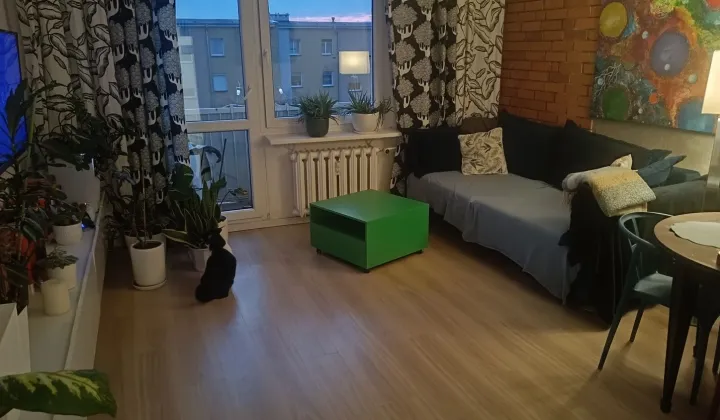 Mieszkanie 3-pokojowe Słubice