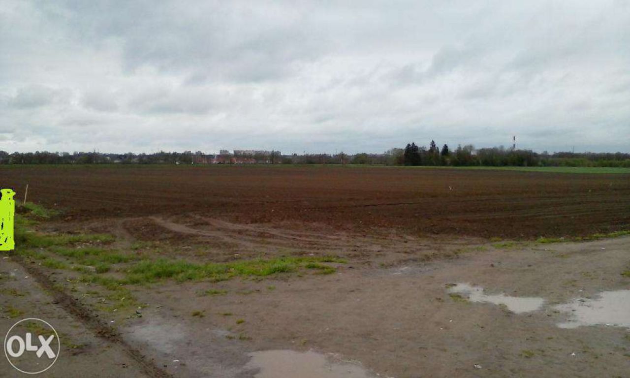 Działka rolna Widzino. Zdjęcie 3