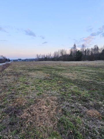 Działka budowlana Cis. Zdjęcie 1