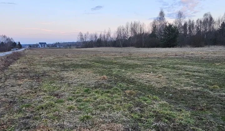 Działka budowlana Cis