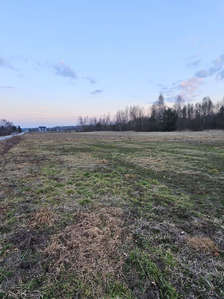 Działka budowlana Cis. Zdjęcie 1