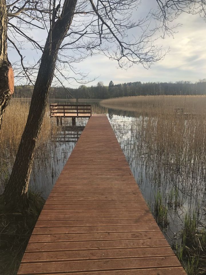 Działka rekreacyjna Dąbrowa. Zdjęcie 4