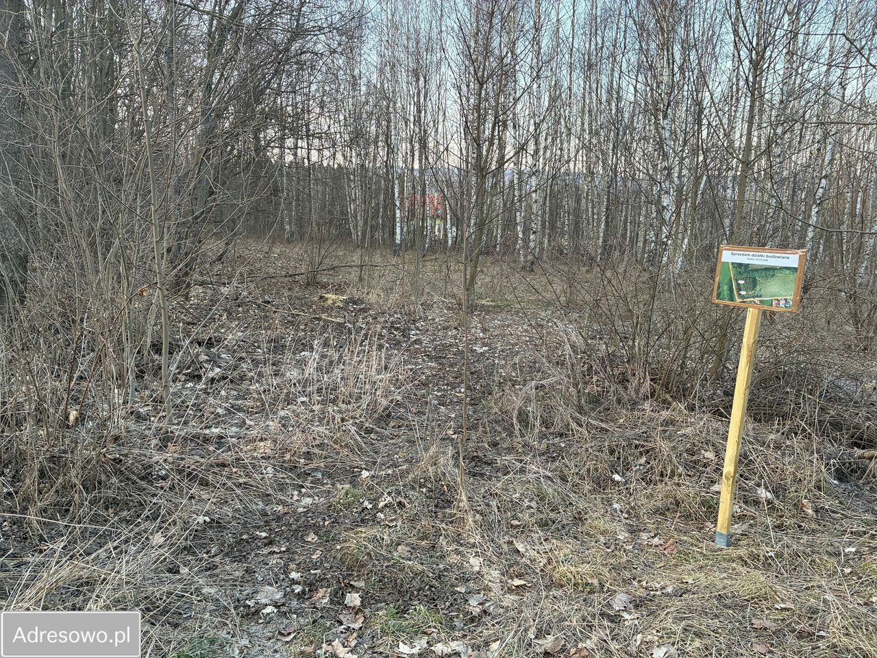 Działka budowlana Szczytna, ul. Polne Domy. Zdjęcie 7