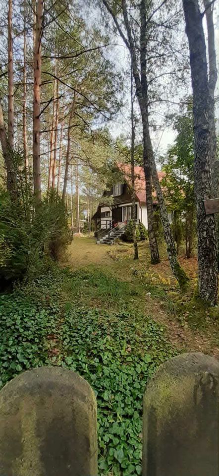 Działka siedliskowa Olpuch. Zdjęcie 16