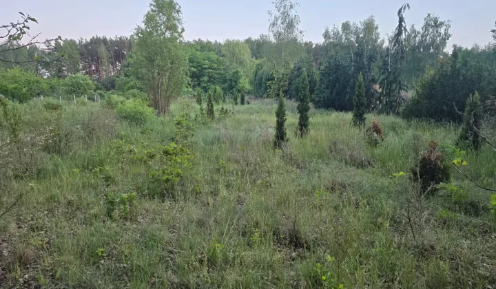 Działka siedliskowa Droszków