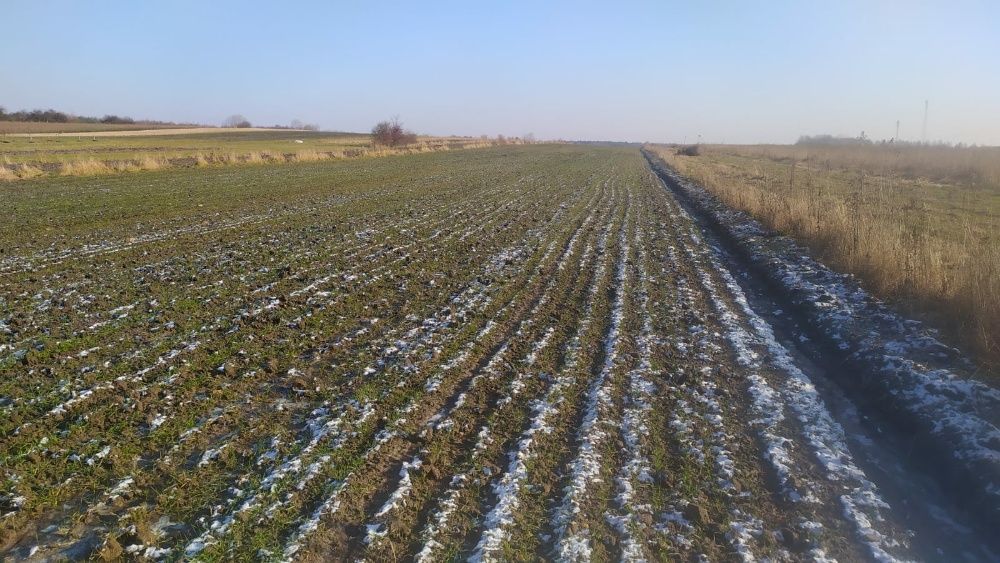 Działka budowlana Zborów. Zdjęcie 3