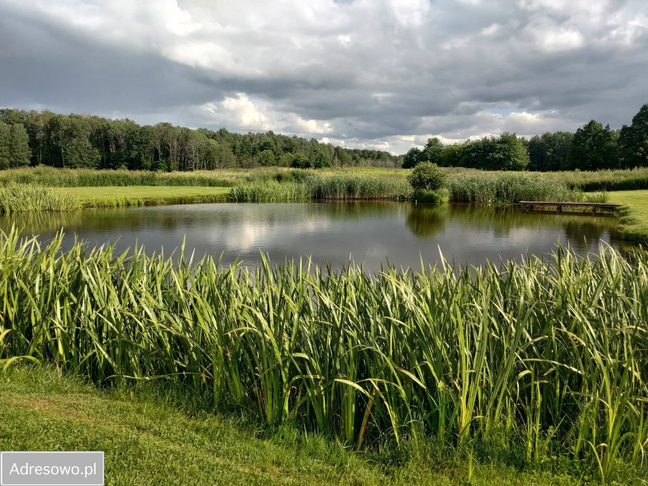 Działka rekreacyjna Ruta Gradowo. Zdjęcie 14