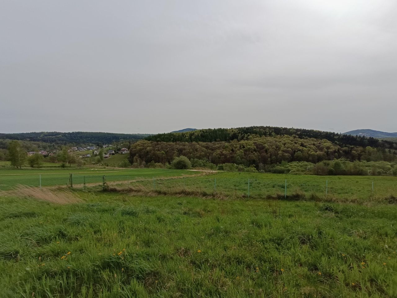 Działka rolno-budowlana Zarzyce Wielkie. Zdjęcie 6