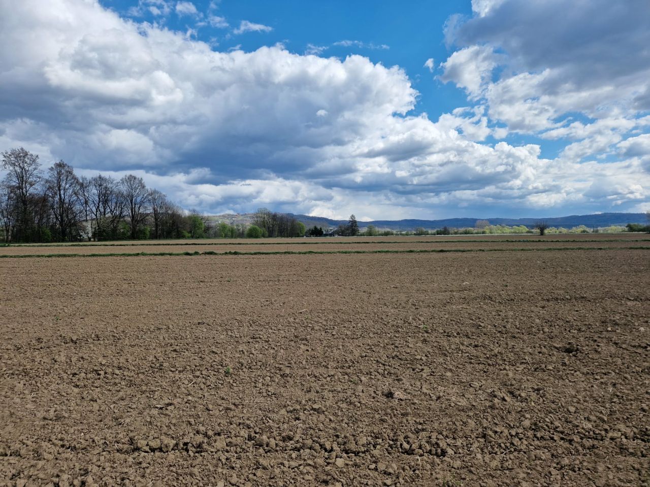 Działka budowlana Pilzno, ul. Grottgera. Zdjęcie 3