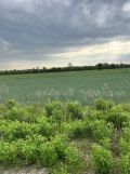 Działka budowlana Skierniewice, ul. gen. Leopolda Okulickiego. Zdjęcie 3
