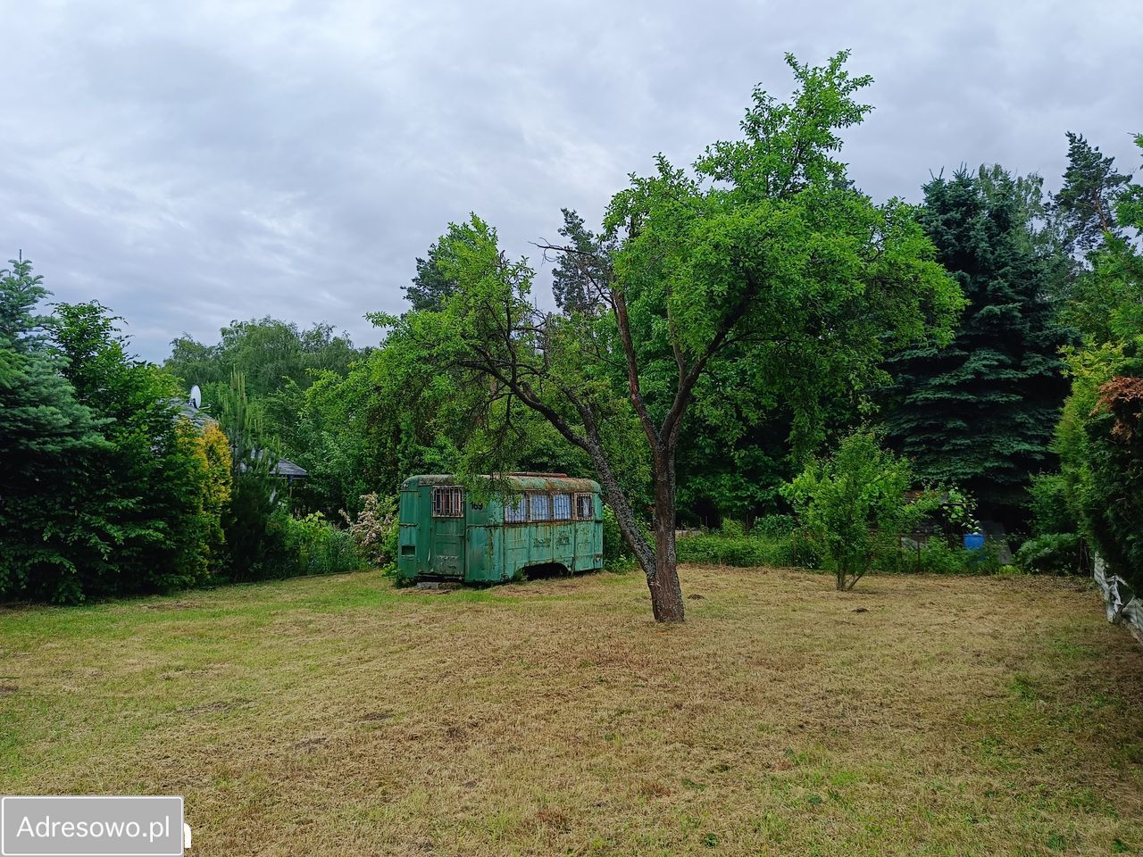 Działka rod Złotkowo. Zdjęcie 9