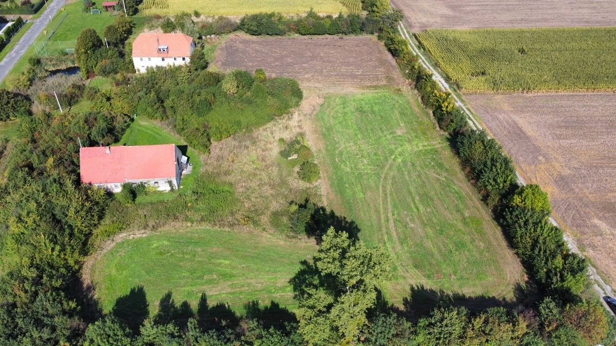 Działka budowlana Jaksin. Zdjęcie 3