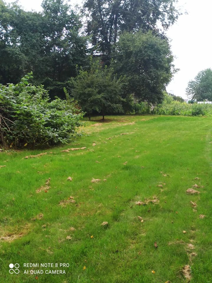 Działka siedliskowa Piotrków Drugi. Zdjęcie 2