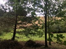 Działka siedliskowa Minoga. Zdjęcie 2