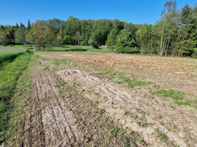 Działka rolna Stary Kraków. Zdjęcie 1