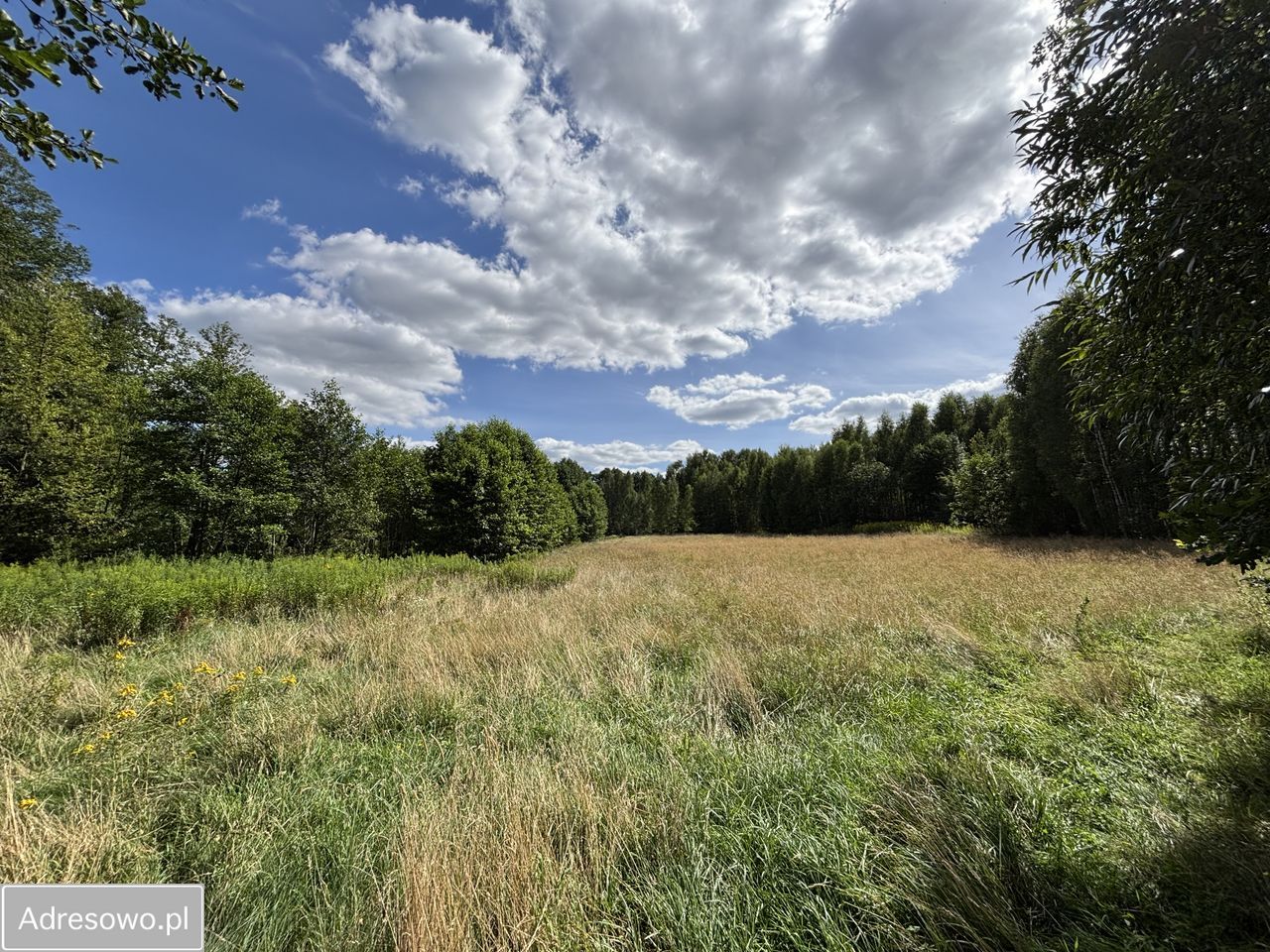 Działka inwestycyjna Kąty-Miąski. Zdjęcie 4