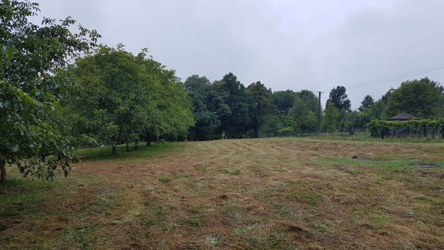 Działka rolno-budowlana Płaza. Zdjęcie 1