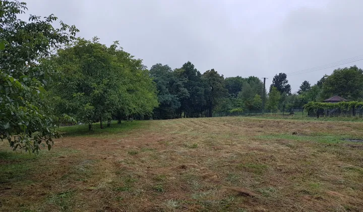Działka rolno-budowlana Płaza