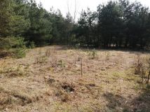 Działka rolna Przełazy. Zdjęcie 3