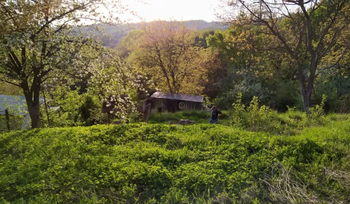 Działka rod Przemyśl