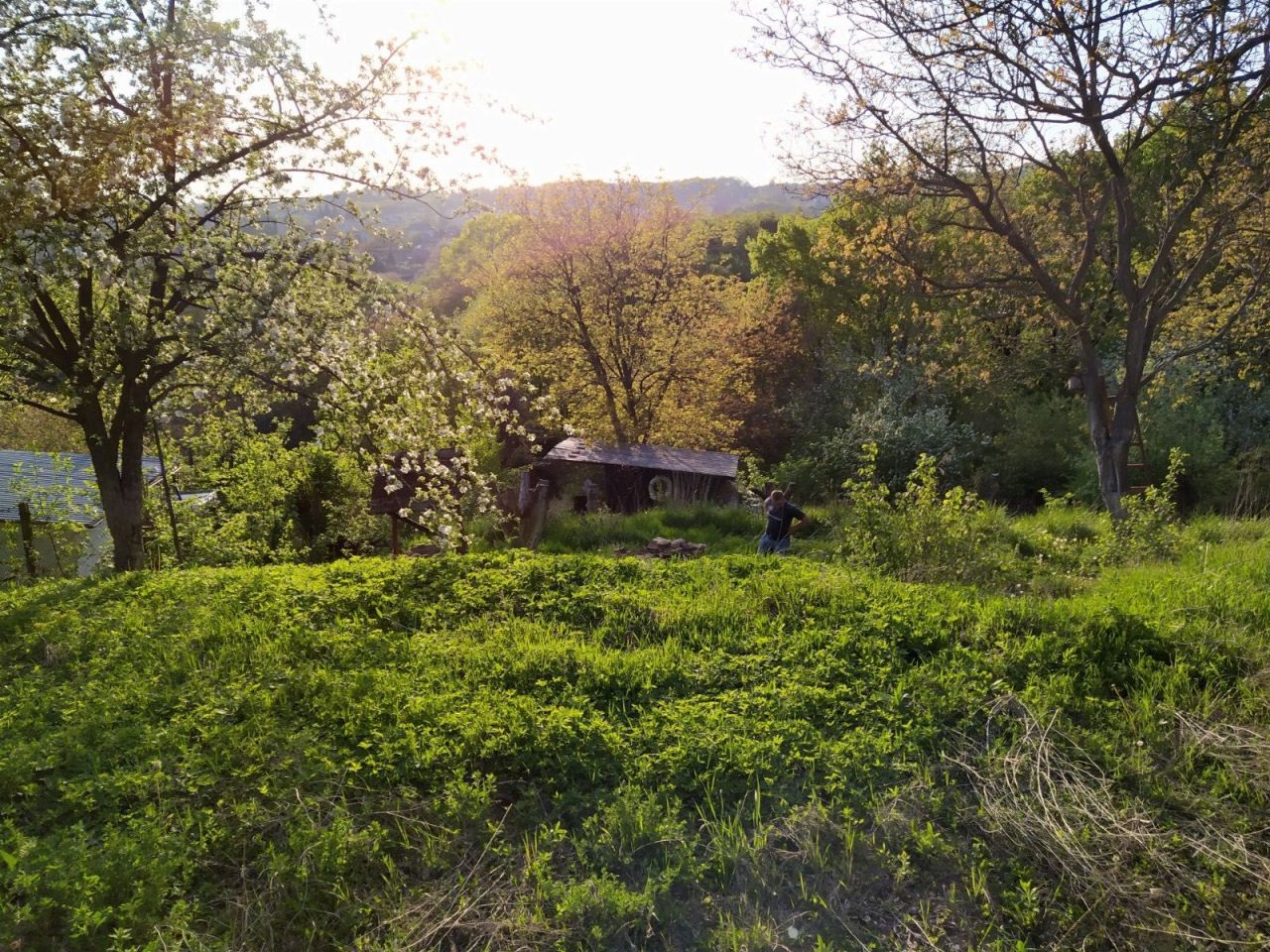 Działka rod Przemyśl